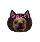 RUN☆DARU（個別スタンプ：27）