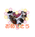 RUN☆DARU（個別スタンプ：32）