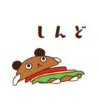 バーガーくま（個別スタンプ：26）