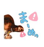 あっくんすたんぷ☆（個別スタンプ：16）