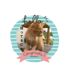 子猫のラテ君 スタンプ（個別スタンプ：6）