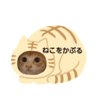 子猫のラテ君 スタンプ（個別スタンプ：20）