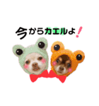 チワワのモカちゃん♡Happy Smile♡（個別スタンプ：11）