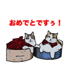 にゃははは！（個別スタンプ：2）