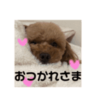 こももスタンプ（個別スタンプ：32）