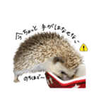 ハリネズミのうにた（個別スタンプ：12）