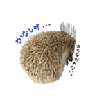 ハリネズミのうにた（個別スタンプ：22）