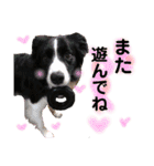 おおひら兄弟（個別スタンプ：8）