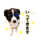 おおひら兄弟（個別スタンプ：10）