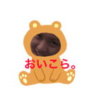くまのための（個別スタンプ：7）