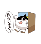 毎日まぐろん3（個別スタンプ：23）