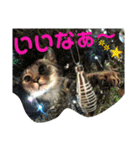 わくわくほくろ2（個別スタンプ：14）