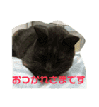 わくわくほくろ2（個別スタンプ：15）