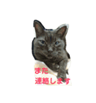 わくわくほくろ2（個別スタンプ：18）
