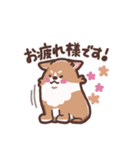 ゆるコーギー【敬語】（個別スタンプ：2）