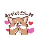 ゆるコーギー【敬語】（個別スタンプ：3）