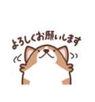ゆるコーギー【敬語】（個別スタンプ：4）
