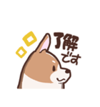 ゆるコーギー【敬語】（個別スタンプ：7）