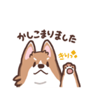 ゆるコーギー【敬語】（個別スタンプ：9）