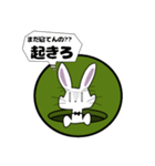 裏表ウサギ（個別スタンプ：16）