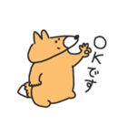 くまとコンさん（個別スタンプ：31）
