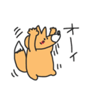 くまとコンさん（個別スタンプ：35）