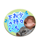 ほたンプ_その1（個別スタンプ：19）
