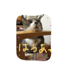 くたびれ（個別スタンプ：8）