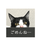 ハチワレにゃんこ ♪ 2（個別スタンプ：4）