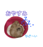 ランちゃんのあいさつ（個別スタンプ：4）