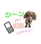 ランちゃんのあいさつ（個別スタンプ：7）