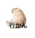 西村ちぇりっしゅ（個別スタンプ：25）