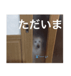 西村ちぇりっしゅ（個別スタンプ：28）