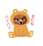 ポメチワ れもんちゃん（個別スタンプ：21）