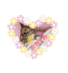 ポメチワ れもんちゃん（個別スタンプ：22）