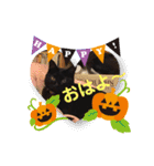 黒猫ハロウィン（個別スタンプ：8）