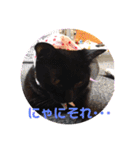 黒猫ハロウィン（個別スタンプ：11）