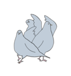 穏和な鳩++（個別スタンプ：1）