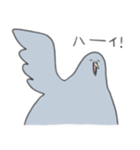 穏和な鳩++（個別スタンプ：2）