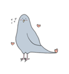 穏和な鳩++（個別スタンプ：4）
