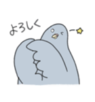 穏和な鳩++（個別スタンプ：9）