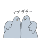 穏和な鳩++（個別スタンプ：22）