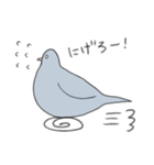 穏和な鳩++（個別スタンプ：28）