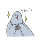 穏和な鳩++（個別スタンプ：29）