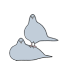 穏和な鳩++（個別スタンプ：34）