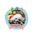 Angelpoo（個別スタンプ：7）