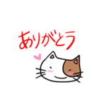 すーぱーねこ？（個別スタンプ：5）