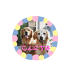 さくら＆ゆず（個別スタンプ：2）