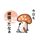キノコだもの。（個別スタンプ：16）