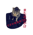 かわい子ちゃんたちです。（個別スタンプ：2）